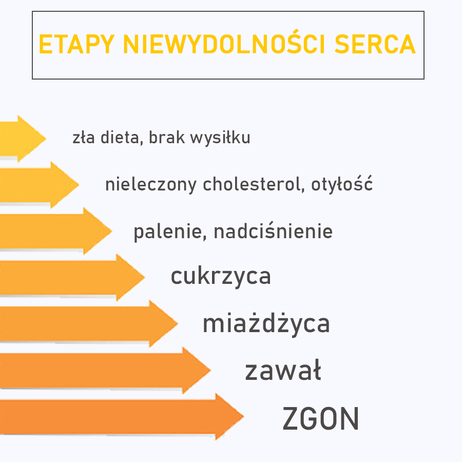 Choroby Układu Krążenia Przyczyny Objawy Rehabilitacja 9925